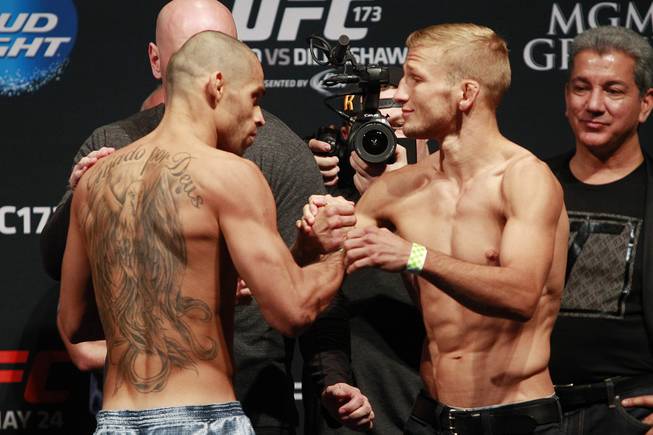 Renan Barao and T.J. Dillashaw shake hands after facing off during the weigh in for UFC 173 Friday, May 23, 2014 at the MGM Grand Garden Arena.