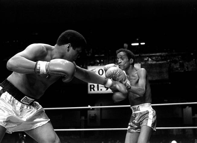 Muhammad Ali is pictured delivering a punch to the body of entertainer Sammy Davis, Jr. during their benefit fight and show at the Olympic Auditorium, Los Angeles, May 8, 1978. The fight was part of a sports program in which Ali fought Richard Pryor, Marvin Gaye, and actor Burt Young to help his former photographer, Howard Bingham, who is running for Congress in the 31st district. 
