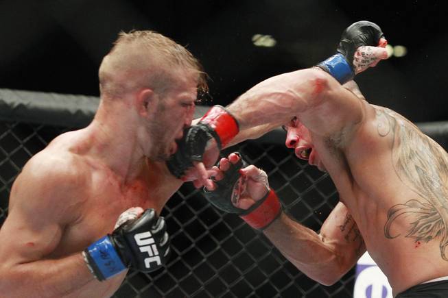 Renan Barao hits T.J. Dillashaw with a left during their bantamweight title fight at UFC 173 Saturday, May 24, 2014 at the MGM Grand Garden Arena. Dillashaw scored an upset TKO in the fifth round.