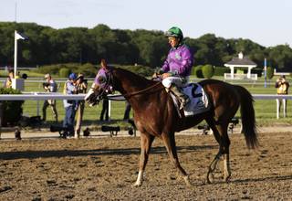 Victor Espinoza rides California Chrome after finishing fourth in the Belmont Stakes horse race, Saturday, June 7, 2014, in Elmont, N.Y. (AP Photo/Seth Wenig)