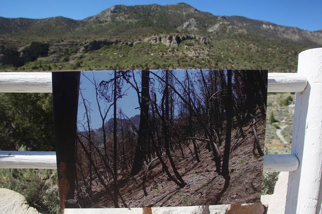 A photo showing the damage caused by the Carpenter I fire is seen during a news conference to highlight the dangers of climate change and its effects on the Spring Mountains Tuesday, June 24, 2014.