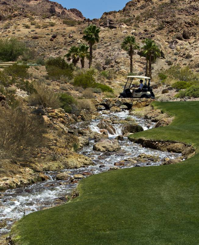 HELP of Southern Nevada hosts its 20th Annual Golfers Roundup at Cascata Golf Course in Boulder City on Tuesday, June 24, 2014.