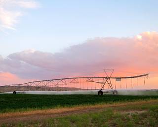 Sprinklers irrigate alfalfa on the Escalante Ranch, in northeast Utah, on June 11, 2014. The ranch is the largest Chinese-owned alfalfa ranch in the United States, used to supply hay for China's growing dairy industry.