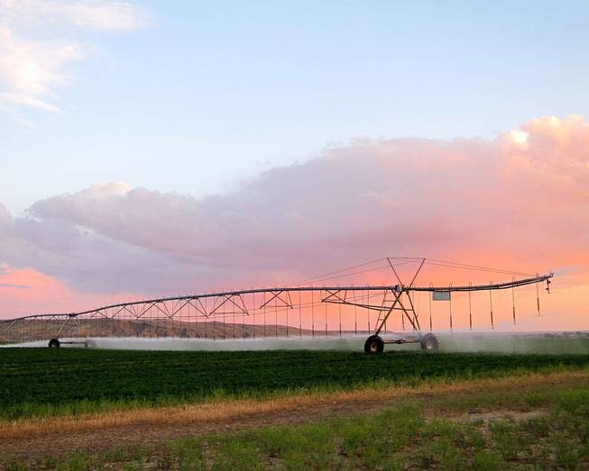 Sprinklers irrigate alfalfa on the Escalante Ranch, in northeast Utah, on June 11, 2014. The ranch is the largest Chinese-owned alfalfa ranch in the United States, used to supply hay for China&apos;s growing dairy industry.