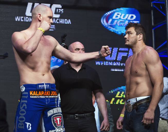 Heavyweights Stefan Struve and opponent Matt Mitrione face off during the UFC 175 weigh ins at the Mandalay Bay Resort on Friday, July 4, 2014.