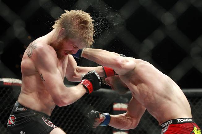 Justin Scoggins is tagged with a left from Dustin Ortiz during their fight at The Ultimate Fighter 19 Finale Sunday, July 6, 2014 at the Mandalay Bay Events Center. Ortiz won by decision.