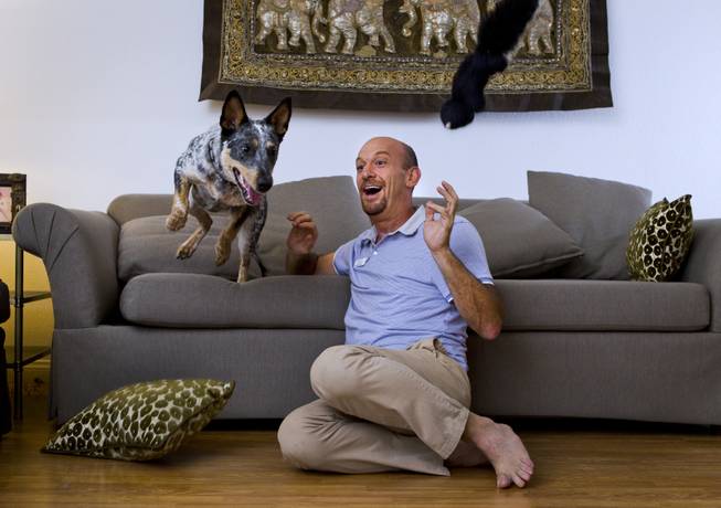 Dr. Toby Goldman recently started providing hospice care to Las Vegas pets for their owners and enjoys play time with his own dog Brizzie on Wednesday, July 2, 2014. 