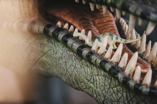 A close up of Pete the dinosaurs mouth on display at Shang-Gri La Prehistoric Park in Las Vegas, Nev on July 12, 2014.