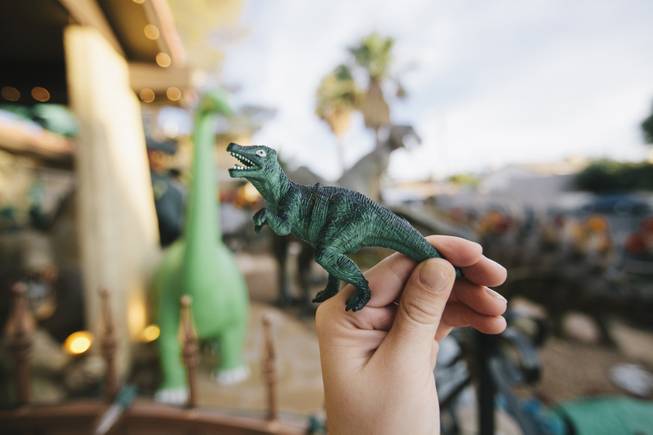 Every visitor can take a complimentary mini dinosaur home with them after visiting Shang-Gri La Prehistoric Park in Las Vegas, Nev on July 12, 2014.