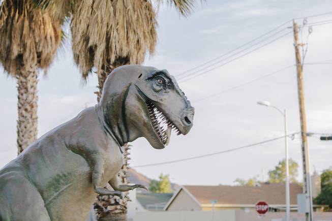 Tex the T-Rex overlooks the neighborhood at Shang-Gri La Prehistoric Park in Las Vegas, Nev on July 12, 2014.
