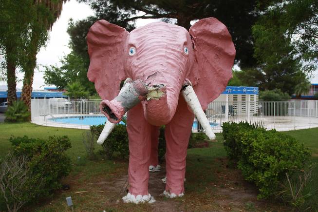 The Diamond Inn's iconic pink elephant, rumored to have come from Disneyland in the 1950's, is seen suffering from vandalism Tuesday, July 15, 2014.