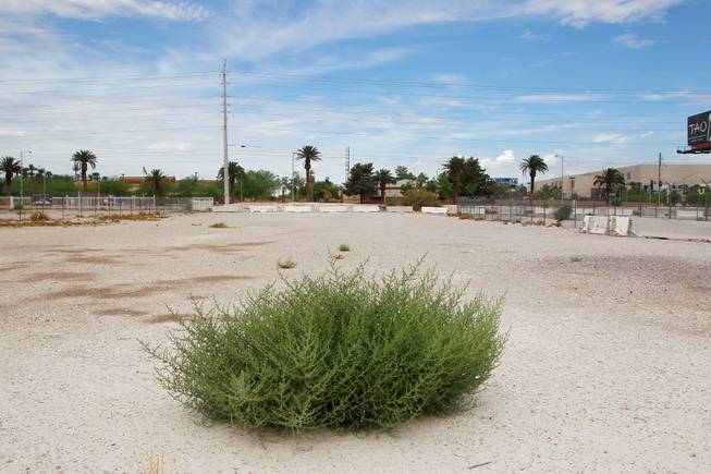 Shrubbery is seen in a vacant lot on the south end of the Strip Tuesday, July 15, 2014.