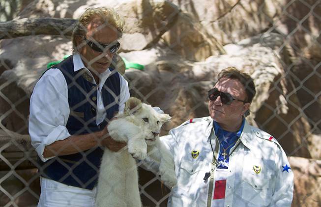 Siegfried Fischbacher holds a white lion cub by Roy Horn at Siegfried & Roy's Secret Garden and Dolphin Habitat Thursday, July 17, 2014. Siegfried and Roy introduced the three 14-week-old cubs, born in South Africa, which will bring new genes into Siegfried and Roy's conservation program.