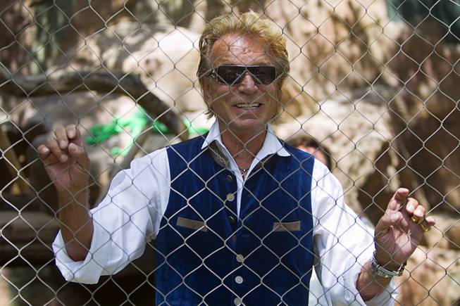 Siegfried Fischbacher jokes that the fence is to protect himself and Roy Horn from the media before introducing new white lion cubs at Siegfried & Roy's Secret Garden and Dolphin Habitat Thursday, July 17, 2014. Siegfried and Roy Horn introduced the three 14-week-old cubs, born in South Africa, which will bring new genes into Siegfried and Roy's conservation program.