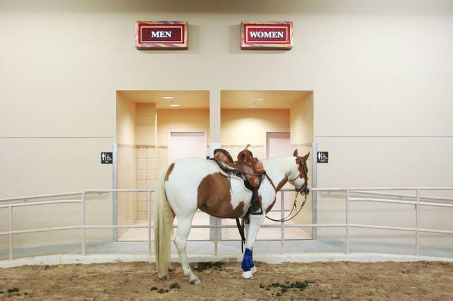 A horse waits for its rider to finish a bathroom stop during the Cowboy Mounted Shooting Association's Western U.S. ChampionshipThursday, July 31, 2014 at the South Point.