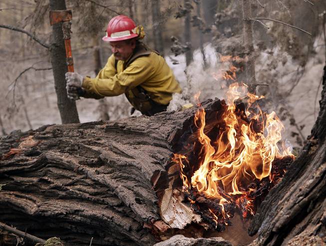 Tracy Porter, of Paradise, Calif., uses an ax to fragment a burning tree damaged by the Eiler Fire on Monday, Aug. 4, 2014, in the Lassen National Park near Hat Creek, Calif. Firefighters were focusing on two wildfires near each other in Northern California that have burned through more than 100 square miles of terrain.
