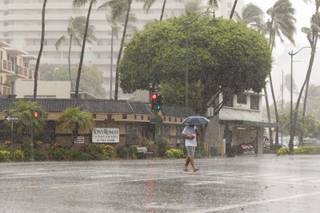 A man uses an umbrella against the rain as he walks across Kapiolani Blvd in Waikiki in Honolulu on Friday, Aug. 8, 2014. Rain and wind gusts are hitting parts of Oahu as Tropical Storm Iselle heads towards the island. Iselle is the first tropical storm to hit the state in 22 years. 