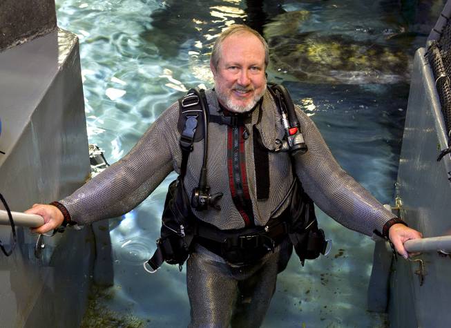 Diver Tim Harsh gears up to enter the aquarium with shipwreck at Shark Reef in the Mandalay Bay on Tuesday, August 12, 2014.