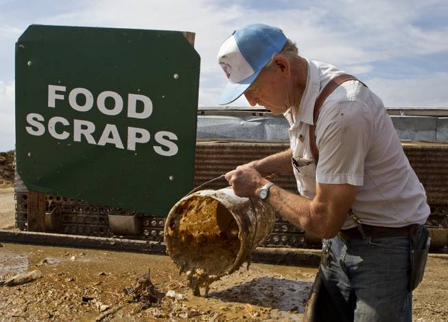 Bob Combs of R.C. Farms Inc. scoops up a bucket of freshly cooked food scraps for his pigs on Wednesday, Aug. 13, 2014.