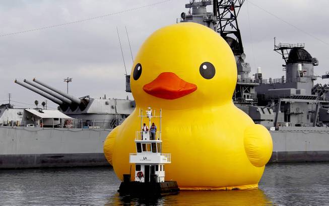 A giant inflatable rubber duck floats past the USS Iowa Battleship at the Port of Los Angeles on Wednesday, Aug. 20, 2014. The world-famous sculpture sailed into the port for the first time Wednesday to kick off the Tall Ships Festival LA and will remain in the harbor through Sunday.