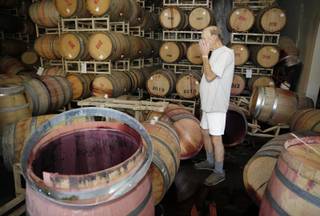 Winemaker Tom Montgomery stands in wine and reacts to seeing damage following an earthquake at the B.R. Cohn Winery barrel storage facility Sunday, Aug. 24, 2014, in Napa, Calif. Winemakers in California’s storied Napa Valley woke up to thousands of broken bottles, barrels and gallons of ruined wine as a result of Sunday’s earthquake. (AP Photo/