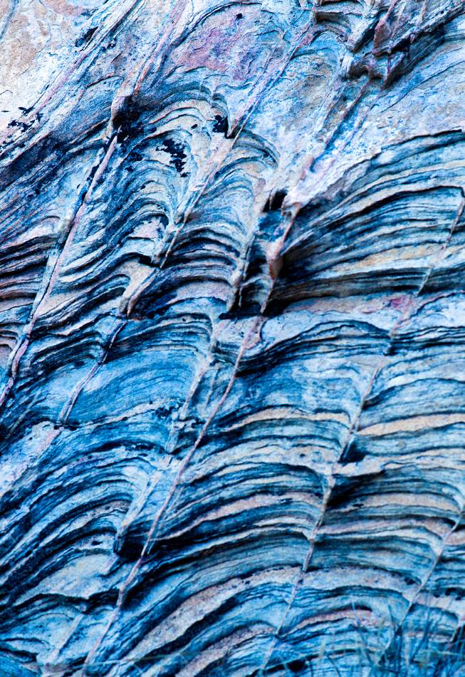 Valley of Fire State Park features many interesting rock formations like this of wavy blue layers on Saturday, February 1, 2014.