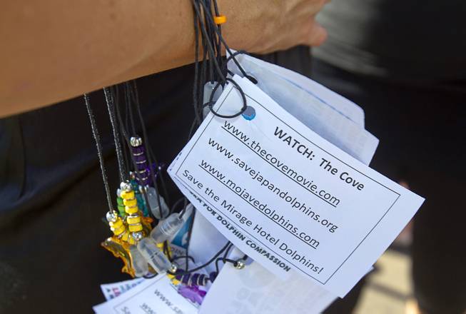 An activist carries information about websites during a protest in front of the Mirage Sunday, Aug. 30, 2014. About 30 people came out to protest the annual capture and killing of dolphins in Taiji, Japan.