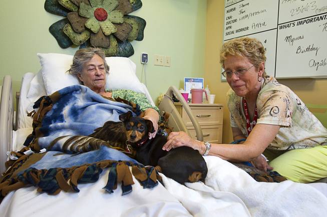 Pet therapist Debbie Sonneman and her dog Levi, a 4-year-old Miniature Pinscher, visit with Myrna Rice at the Nathan Adelson Hospice in Mountain View Medical Center Wednesday, Sept. 3, 2014.