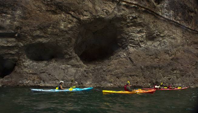 Kayakers paddle along the Colorado River during a tour with Desert Adventures on Saturday, August 30, 2014.
