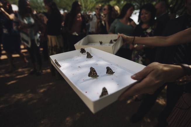 Butterflies are released commemorating the Lou Ruvo Center for Brain Health's accomplishments and promise to continue the fight against neurodegenerative diseases.at the fifth anniversary in Las Vegas, Nev. on September 9, 2014.