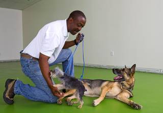 Owner Gregory Conner gets a lick from Stella, a 1-year-old Yorkie, as his German Shepherd Echo, 8, looks on at Doggy Play n Train, 10890 S. Eastern Ave., in Henderson Sept. 14, 2014. Conner recently took part in an investors roundtable at UNLV, where he pitched his business idea to a group of investors hoping to get funding. Conner also owns MPK9 Dog Training and High Power Protection Dogs and K9 Security.