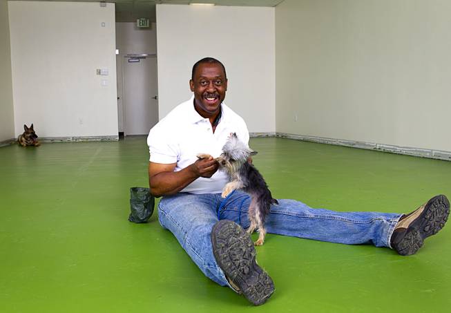 Owner Gregory Conner poses with Stella, a 1-year-old Yorkie, as Echo, an 8-year-old German Shepherd, waits patiently in a corner at Doggy Play n Train, 10890 S. Eastern Ave., in Henderson Sept. 14, 2014. Conner recently took part in an investors roundtable at UNLV, where he pitched his business idea to a group of investors hoping to get funding. Conner also owns MPK9 Dog Training and High Power Protection Dogs and K9 Security.