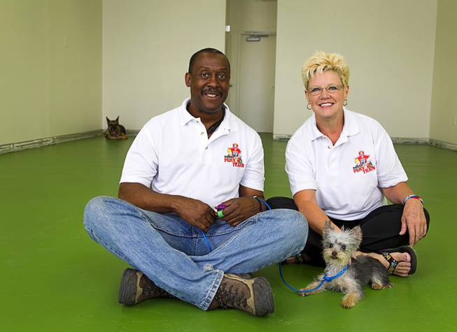 Owner Gregory Conner and manager Sabrina Lochrie pose with Stella, a 1-year-old Yorkie, as Echo, an 8-year-old German Shepherd, waits patiently in a corner at Doggy Play n Train, 10890 S. Eastern Ave., in Henderson Sept. 14, 2014. Conner recently took part in an investors roundtable at UNLV, where he pitched his business idea to a group of investors hoping to get funding. Conner also owns MPK9 Dog Training and High Power Protection Dogs and K9 Security.