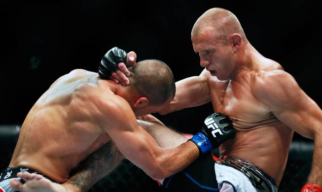 Lightweight fighters Donald Cerrone and Eddie Alvarez battle in the octagon during UFC 178 at the MGM Grand Garden Arena on Saturday, September 27, 2014.