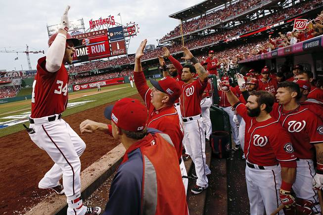 Washington Nationals' Bryce Harper (34) celebrates his solo home run in the seventh inning as he returns to the dugout during Game 1 of baseball's NL Division Series, against the San Francisco Giants at Nationals Park on Friday, Oct. 3, 2014, in Washington. 