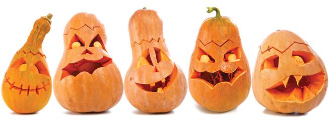 Look for unusually shaped pumpkins, which can help you create a jack-o’-lantern with some extra personality for Halloween.