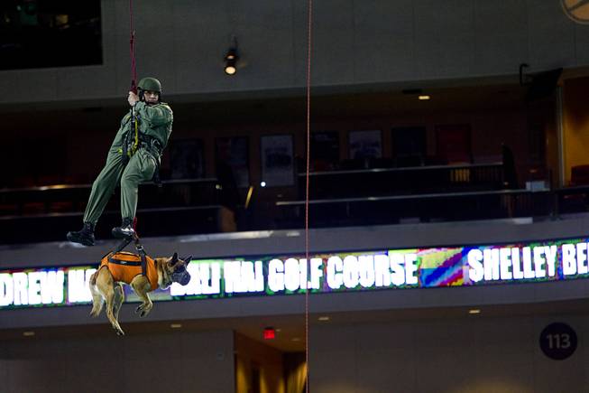 Metro Police K9 officer Jim Ledogar and his partner Reno repel from the cat walk in a half-time show during the 24th Annual Las Vegas Police K9 Trials at the Orleans Arena Sunday, Oct. 19, 2014.
