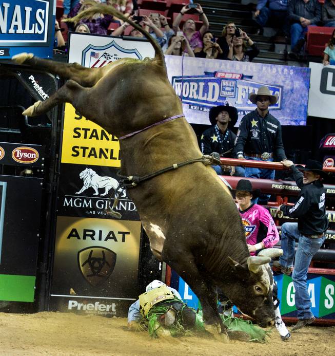 Famed bull Bushwacker leaves Brady Sims in the dirt after another failed ride on him during the PBR 2014 World Finals on Thursday, October 23, 2014. L.E. Baskow.