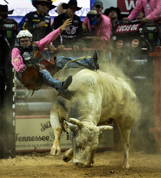 Lachlan Richardson gets tossed off of RMEF Gone Huntin during the PBR 2014 World Finals on Thursday, October 23, 2014. L.E. Baskow.