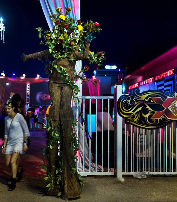 A large human-costumed tree greets attendees at the entrance of the Dos Equis Masquerade during day 2 of the Life is Beautiful Festival on Friday, October 24, 2014.