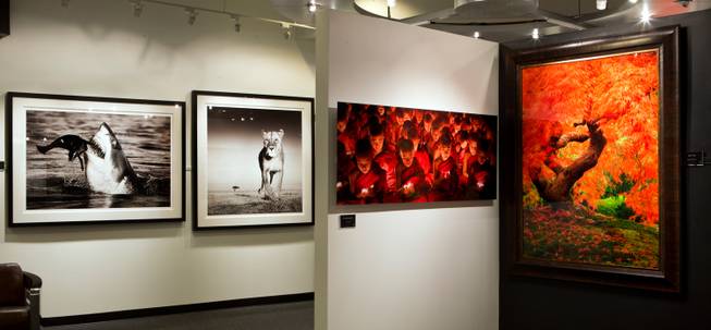 The new Rotella Photo Gallery at the Forum Shops in Caesars Palace features works by photographer Art Wolfe and several others Wednesday, Nov. 5, 2014.