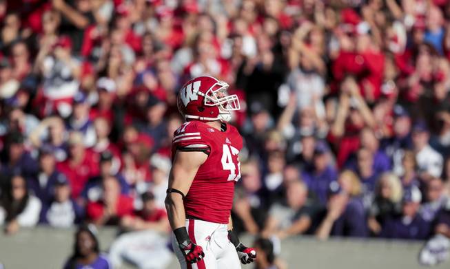 Wisconsin linebacker Vince Biegel celebrates after sacking the Northwestern quarterback during the first half of an NCAA college football game in Madison, Wis., Saturday, Oct. 12, 2013. (AP Photo/Andy Manis)