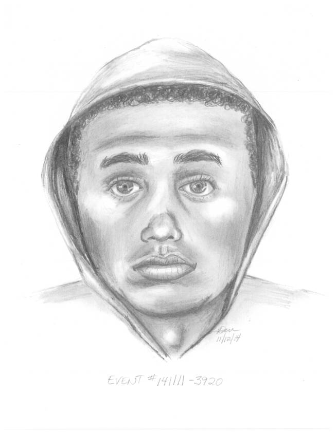 The man pictured in this sketch is a suspect in the Nov. 11, 2014, robbery and shooting of a 22-year-old woman on Simmons Street near Lake Mead Boulevard, according to Metro Police.