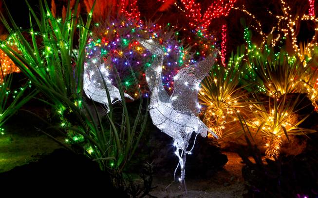 The Cactus Garden at Ethel M Chocolate Factory is lit with holiday lights, including these illuminated geese, on Wednesday, Nov. 19, 2014, in Henderson.

