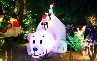 The Cactus Garden at Ethel M Chocolate Factory is lit with holiday lights, including these blow-up and illuminated penguins atop a polar bear, on Wednesday, Nov. 19, 2014, in Henderson.

