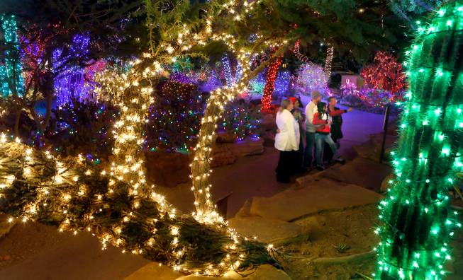 The Cactus Garden at Ethel M Chocolate Factory is lit with holiday lights Wednesday, Nov. 19, 2014, in Henderson.

