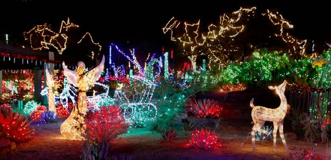 The Cactus Garden at Ethel M Chocolate Factory is lit with holiday lights, some in the form of animals and angels, on Wednesday, Nov. 19, 2014, in Henderson.

