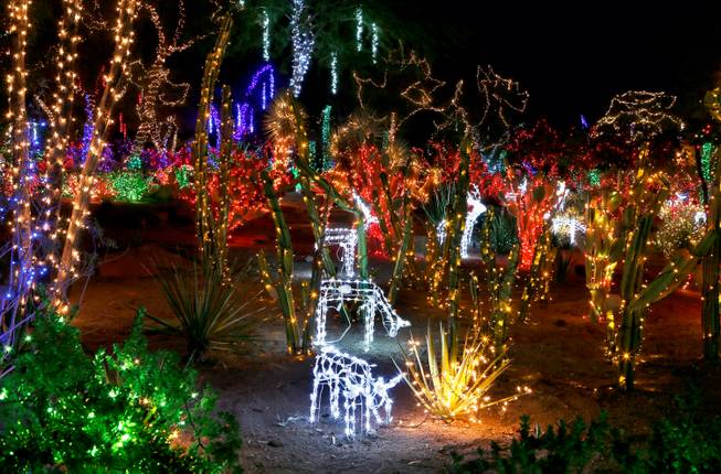 The Cactus Garden at Ethel M Chocolate Factory is lit with holiday lights, some in the form of animals, Wednesday, Nov. 19, 2014, in Henderson.


