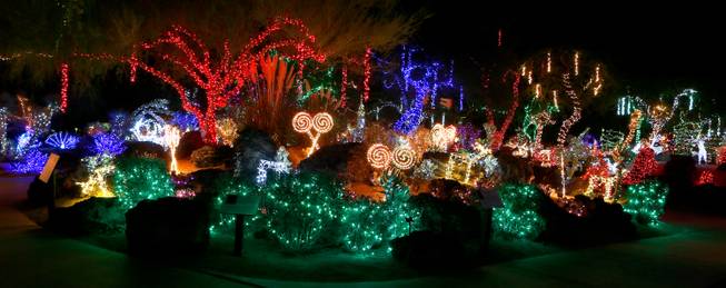 The Cactus Garden at Ethel M Chocolate Factory is lit with holiday lights on Wednesday, Nov. 19, 2014, in Henderson.

