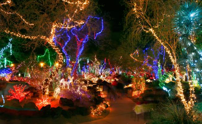 The lights are on at the Cactus Garden at the Ethel M Chocolate Factory (shown here in 2014) from 5 to 10 p.m. daily through Jan. 1. Admission is free.


